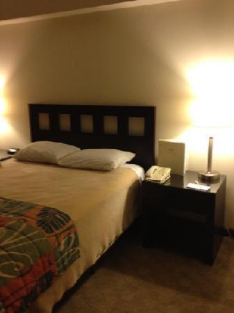 San Miguel Plaza Hotel サンジョアン 部屋 写真